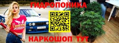 амф Железногорск