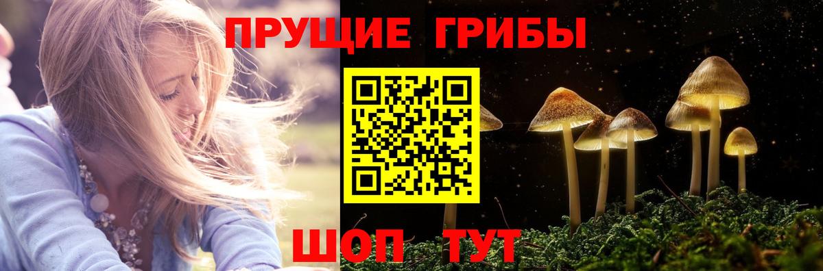 Галлюциногенные грибы MAGIC MUSHROOMS  Псилоцибиновые грибы Psilocybine cubensis  Омск  Вход с VPN 